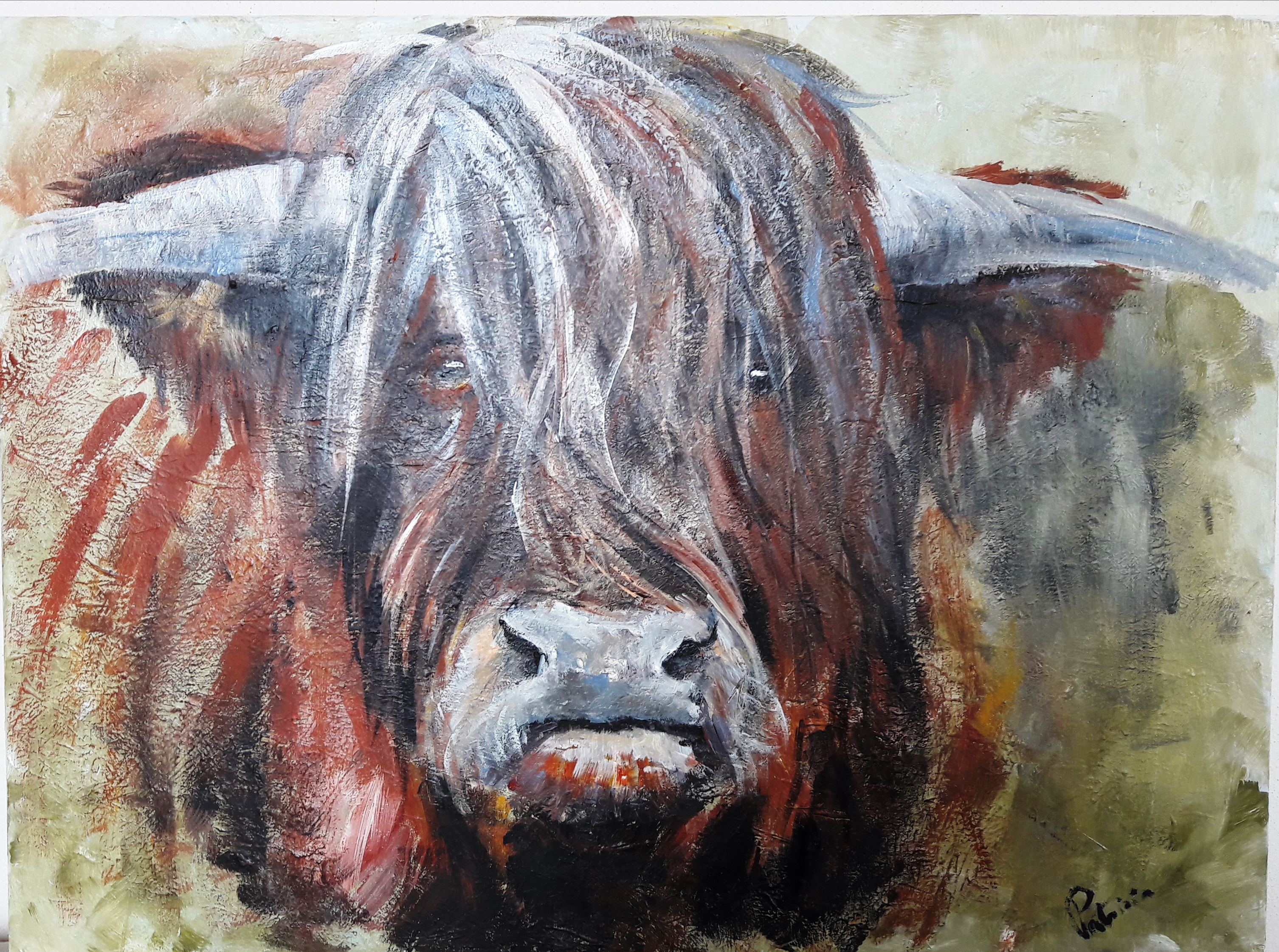 Beste 14 'Schotse hooglander stier' acryl – Kunstuitleen Veldhoven eo VN-58